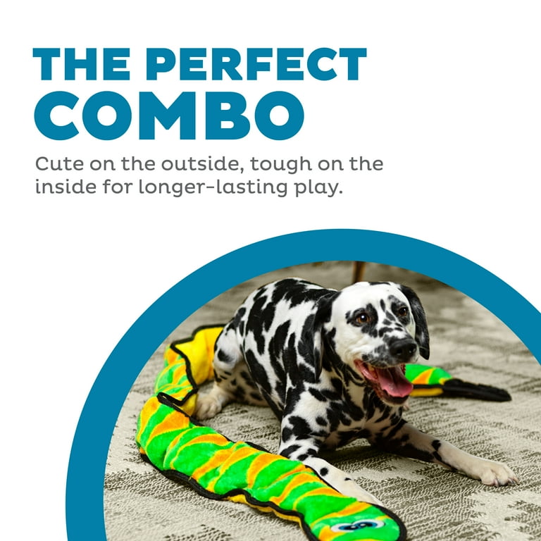 Outward Hound Durablez Stuffing-Free Squeaky Interactive Dog