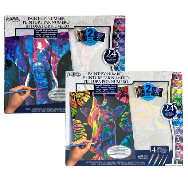 ArtSkills Adult Paint by Number Kits 2pack Walmart.ca