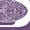 HEATHER PURPLE, variant on Star Trek - Voyager Schematic - Youth Girls Fitted Short Sleeve T-Shirt