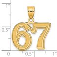 thumbnail image 4 of 14k Yellow Gold Polished Etched Finish Number 67 Charm Pendant, 4 of 4
