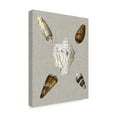 thumbnail image 2 of Trademark Fine Art 'Shells on Linen II' Canvas Art by Vision Studio, 2 of 4