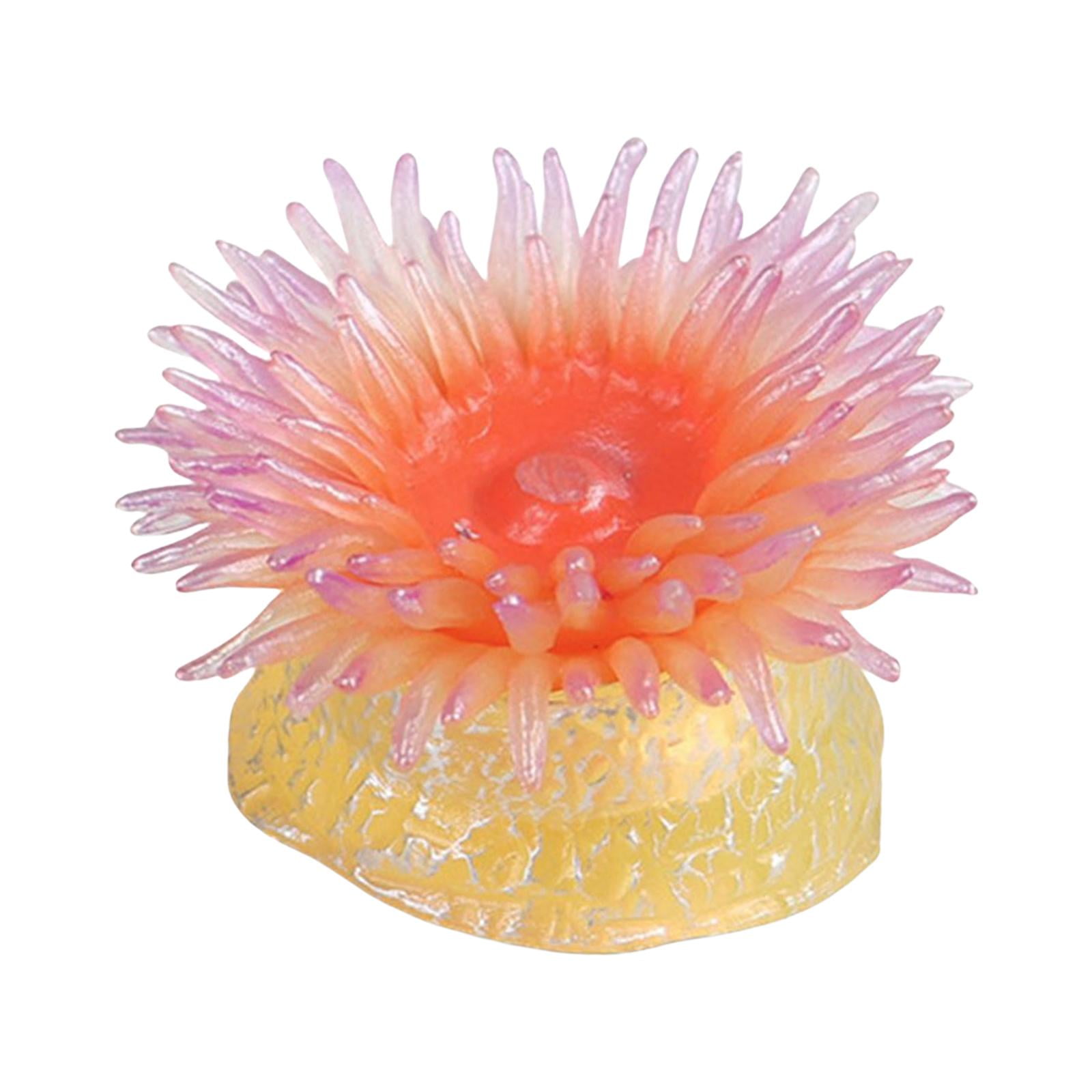 知育玩具 anemone Sea Creatures Sea Anemone Learning Toys Aquarium Landscape