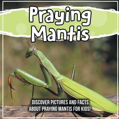 Pre-Owned Praying Mantis: Discover Pictures and Facts About Praying Mantis For Kids! (Paperback) 1071706063 9781071706060