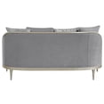 thumbnail image 4 of ACME Fernando Loveseat w/4 Pillows in Gray Chenille & Champagne, 4 of 7