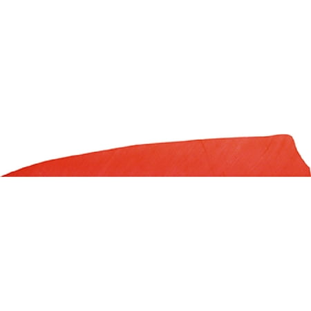 Gateway Feather 400LSSRR-50 Shield Cut Feathers Rose Red 4 Left Wing 50pack