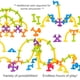 thumbnail image 4 of Froogly - Juguetes de Succión de 25 Piezas / Juguetes Montessori Juguetes de Baño Juego de Construcción Juguetes Preescolares de Silicona Juguetes de Guardería Juguetes de Ducha Juguetes de Viaje para, 4 of 5