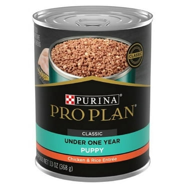 Purina Pro Plan 3810002773 Focus Puppy Chicken and Rice Pate Wet Dog Food -1 Can
