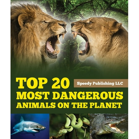 Most Dangerous Sharks - Top 20 Most Dangerous Animals On The Planet - eBook