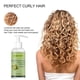 thumbnail image 5 of El spray rizador realza el volumen del cabello, hidrata profundamente, elastina para peinado de cabello rizado, cuidado del cabello hidratante para peinado, 50 ml de acondicionador, 5 of 8