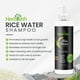 thumbnail image 4 of Herbishh Rice Water Hair Growth Shampoo - 400ml with Power of Castor Oil, Argan & Coconut Oil & Biotin | All Hair Type | Hair regrowth for Thinning Hair, Moisturizing & Volumizing | Silicone Free, 4 of 8