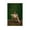 Unframe-style, variant on Doechii Art RAPPER Poster Poster Cool Artworks Painting Wall Art Canvas Prints Hanging Picture Home Decor Posters Gift 12x18inch(30x45cm)