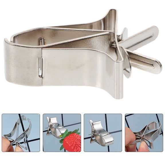 BESTOYARD 3Pcs Stainless Steel Parrot Food Clips Practical Cage Bar Fixing Tool