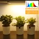 thumbnail image 2 of Tiras de luz LED para cultivo Mosthink, paquete de 2 unidades, temporizador USB de 13,2 pulgadas, 2 of 6
