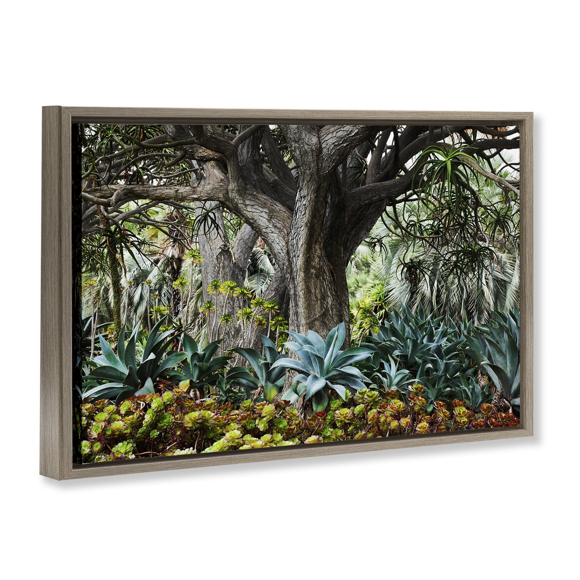 Stupell Industries Lush Tropical Vegetation Landscape & Nature Photography Brown Floater Framed Canvas Art Print Wall Art, 25 x 17