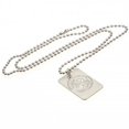 thumbnail image 2 of Celtic FC - Etiqueta/Chapa y Cadena para Perros de Plateado (Plateado), 2 of 3