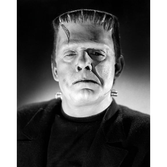 House Of Frankenstein Glenn Strange As The Monster Horror Classic Make Up 24x36 Classic Hollywood Poster