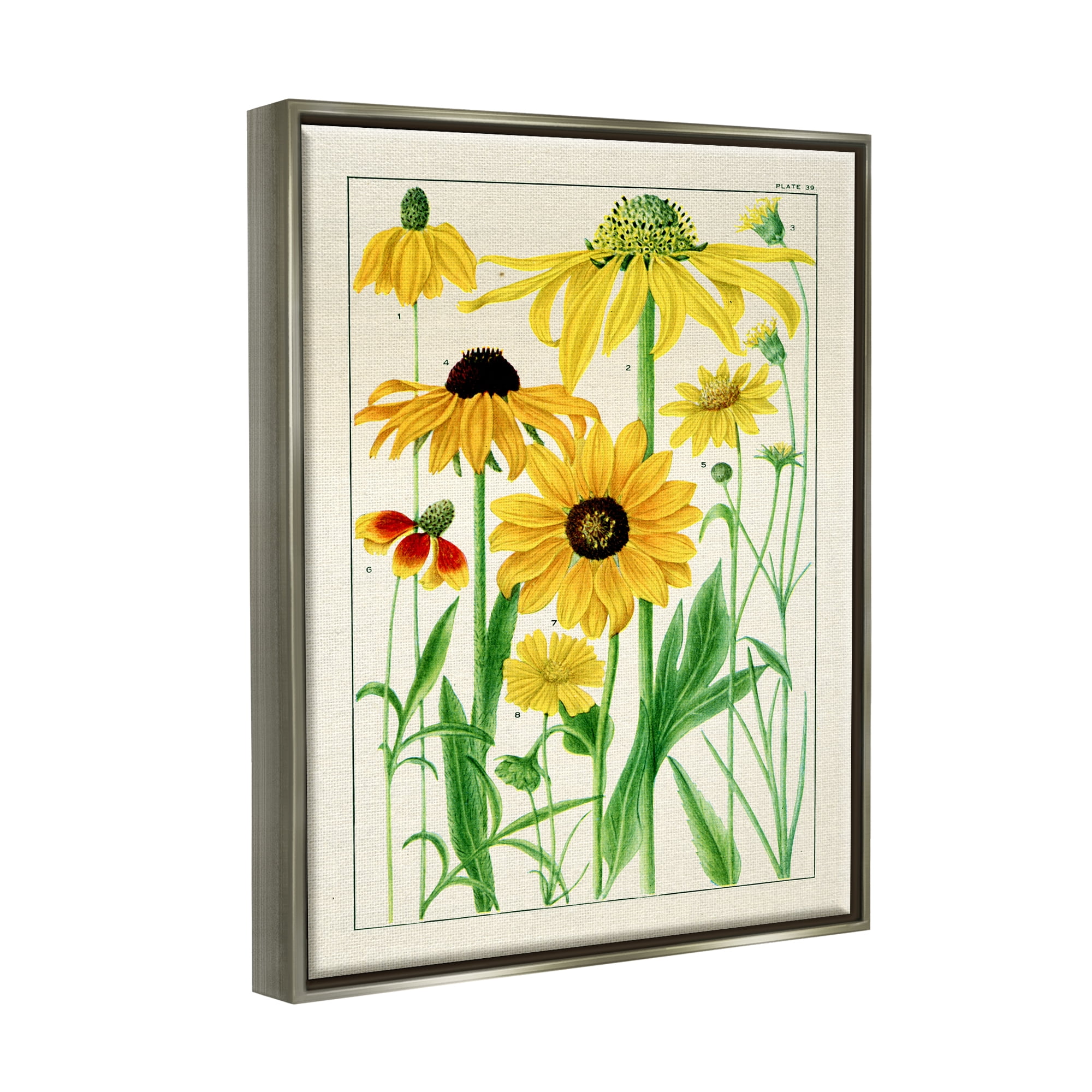 Stupell Industries Vintage Yellow Daisies Botanical & Floral Painting Gray Floater Framed Art Print Wall Art, 25 x 31