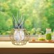 thumbnail image 5 of Jarrón Hidropónico de Vidrio Decorativo Jlh250205002 | Marco de Hierro | Maceta de Vidrio Transparente para Plantas Acuáticas de Hiedra Verde | Decoración Moderna para El Hogar | Decoración para Sala, 5 of 6