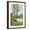 Brown Frame, variant on Art.com Early Spring II Art Print, 12" x 18"