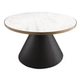 thumbnail image 1 of TOV Furniture Richard Table Basse Transitionnelle en Marbre de 16,5 Po H, Blanc, 1 of 5