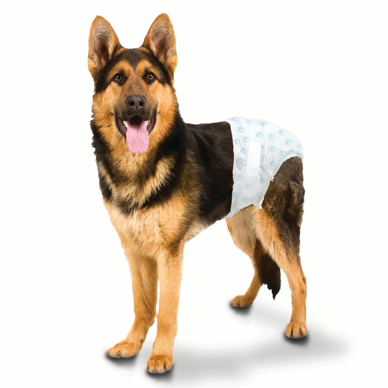 Wee-Wee Disposable Diapers