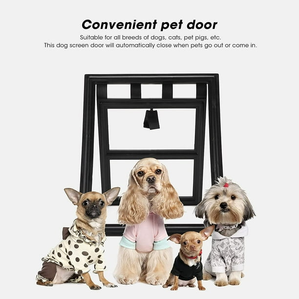 Dog door hot sale for screen porch