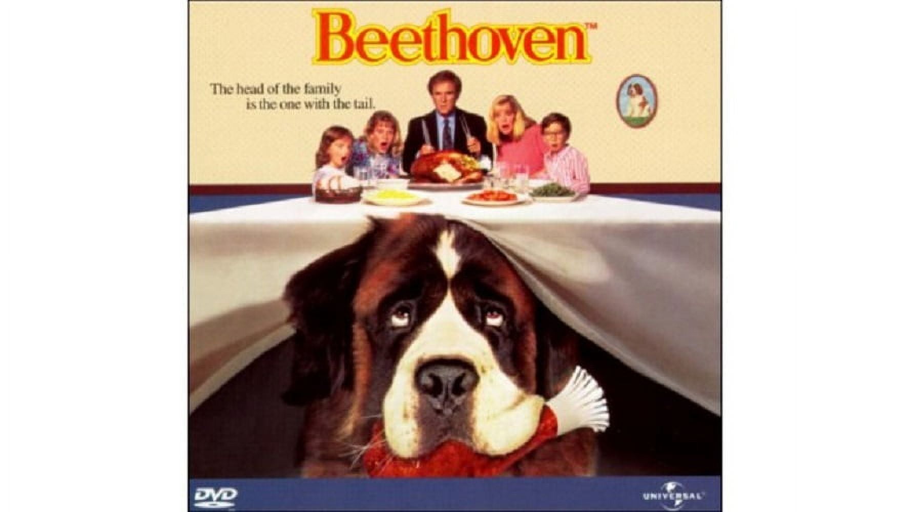 DIAMOND☆DOGS SWAN 2009 DVD DIAMOND☆DOGS SWAN 2009 DVD DIAMOND☆DOGS SWAN 2009 DVD Amazon.com