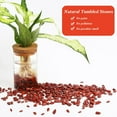 thumbnail image 3 of Sinkoo Polished Gem Stones Rocks Crystals 0.66 Lb/300g Natural Tumbled Stones Red Jasper Crystal Chips Bulk for Healing Crystals & Fish Tank Rocks Gravel, Vase Filler, Plants Decor, Diy Crafts, 3 of 6