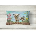 thumbnail image 2 of Carolines Treasures CK1221PW1216 Chinese Crested Spring Canvas Fabric Decorative Pillow, 2 of 3