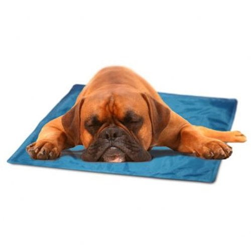 self cooling dog pad by the green pet shop