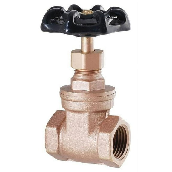 Ldr 1in. IPS Heavy Duty Low Lead Gate Valve 022-1115