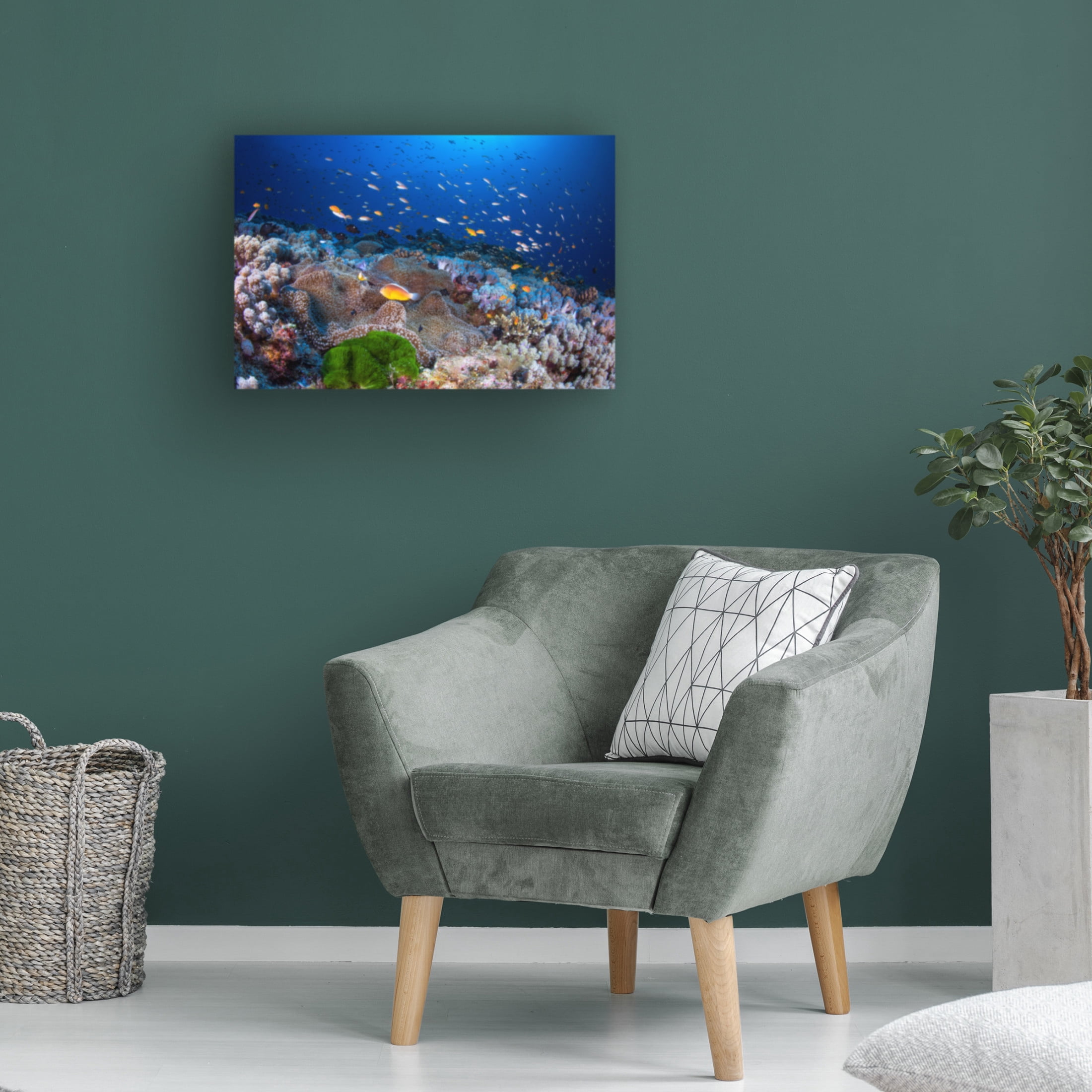 Canvas Wall Art - Barathieu Gabriel 'Anemon And Anthias' Wall Art for Living Room, Bedroom, or Office Décor by Trademark Fine Art - 32 x 22 Inches