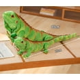 thumbnail image 2 of Peluche Xshelley Realistic Green Lizard 95 cm para niños, 2 of 7