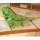 thumbnail image 2 of Peluche Xshelley Realistic Green Lizard 95 cm para niños, 2 of 7