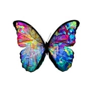 Beautiful Mosaic Multicolored Butterfly Artistic Monarch Insect Stained Glass Insect Art Cool Wall Art Print Poster 16x24