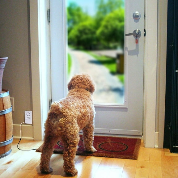 Wired Pressure Floor Mat Alarm System with Anti-Wandering & Welcome Mat