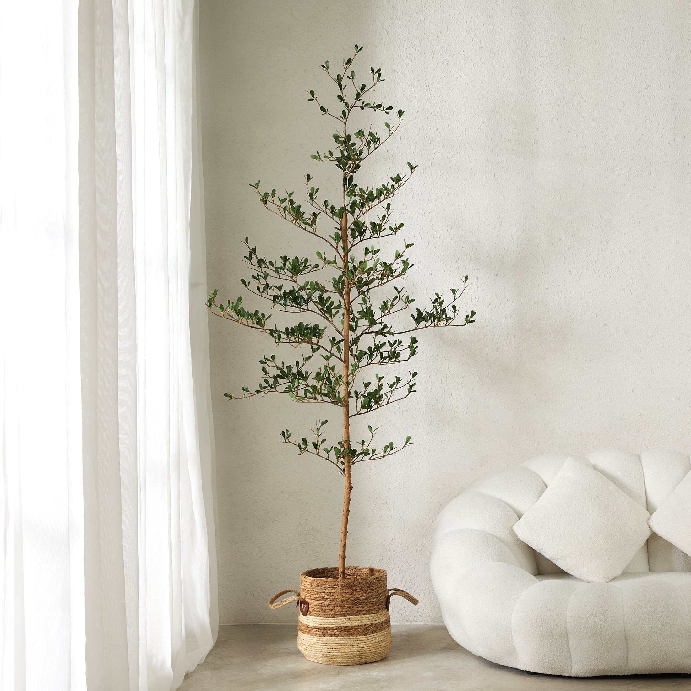 DR.Planzen 6ft Faux Black Olive Tree - Realistic Potted Artificial Tree with Natural Trunk & Silk Leaves - Tall Faux Plant for Home, Office, Indoor & Outdoor Decor - Low Maintenance & UV Resistant