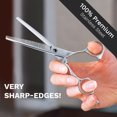 thumbnail image 5 of Casewin Hair Scissors 6 Inch Professional Barber Scissors Hair Thinning Scissors Thinning Shears 440C Barber Shears 30 Teeth Rose handle, 5 of 6