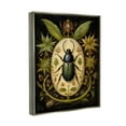thumbnail image 4 of Stupell Industries Vintage Beetle & Botanicals Animals & Insects Painting Gray Floater Framed Canvas Art Print Wall Art, 25 x 31, 4 of 10