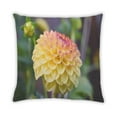 thumbnail image 2 of Ahgly Company Plants Flower Indoor Throw Pillow, 18 inch by 18 inch, 2 of 6