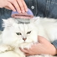 thumbnail image 2 of Pet Supplies Cat Comb Set Portable 2 In 1 Hair Removal Grooming Brush Self Cleaning Tools for Shedding Massage Care for Cats and Dogs, 2 of 8