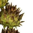 thumbnail image 3 of Vickerman 15"  Basil Artichoke Head attached to a Reed Stem, Dried, 3 of 5