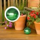 thumbnail image 5 of NUOLUX Bola De Verde Para Exterior En Inoxidable Con, 5 of 8