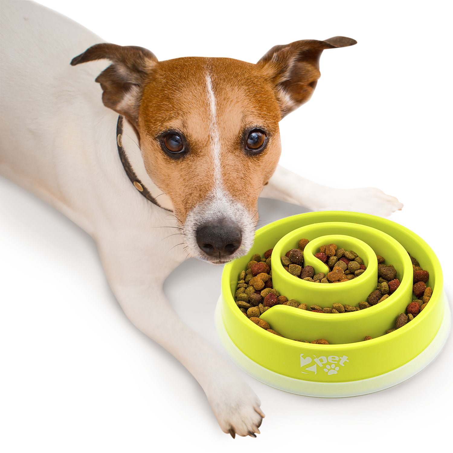 Mighty Paw Slow Feed Dog Bowl Insert  Interactive Puzzle Maze Feeder for  Fast Eaters. 