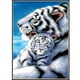 thumbnail image 5 of Naiovety 5D diamante pintura pared decorativa diamante punto de cruz hogar Oficina Animal diseño cristal bordado Artesanía, 5 of 6