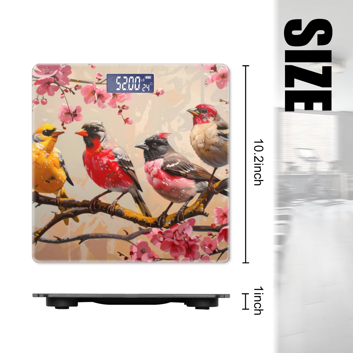 Bathroom Scale, Highly Accurate Digital Body Scale,Precisely Measures Weight up to 400 lbs-Birds Sitting On Cherry Blossom Tree Branch