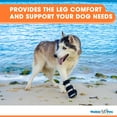 thumbnail image 4 of Walkin’ Pets Front Leg Splint - For Dogs with Arthritis and Injuries, 4 of 8