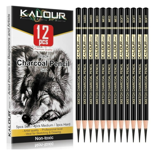 KALOUR Juego 12 Lápices de Carbón para Dibujo, 5 Suaves 4 Medios 3 Duros, Set Profesional para Sketch, Bocetos y Sombreado