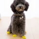 thumbnail image 5 of Greeniant 4x Paws Stop Licking Paw Protector - Calcetines antideslizantes y antiarañazos para mascotas Gatos Perros Botas rojo claro L Type3 NO3, 5 of 6