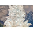 thumbnail image 6 of Novelty Lights 50 Light Pure White LED Christmas Mini Light Set (White Wire, 11 feet), 6 of 6